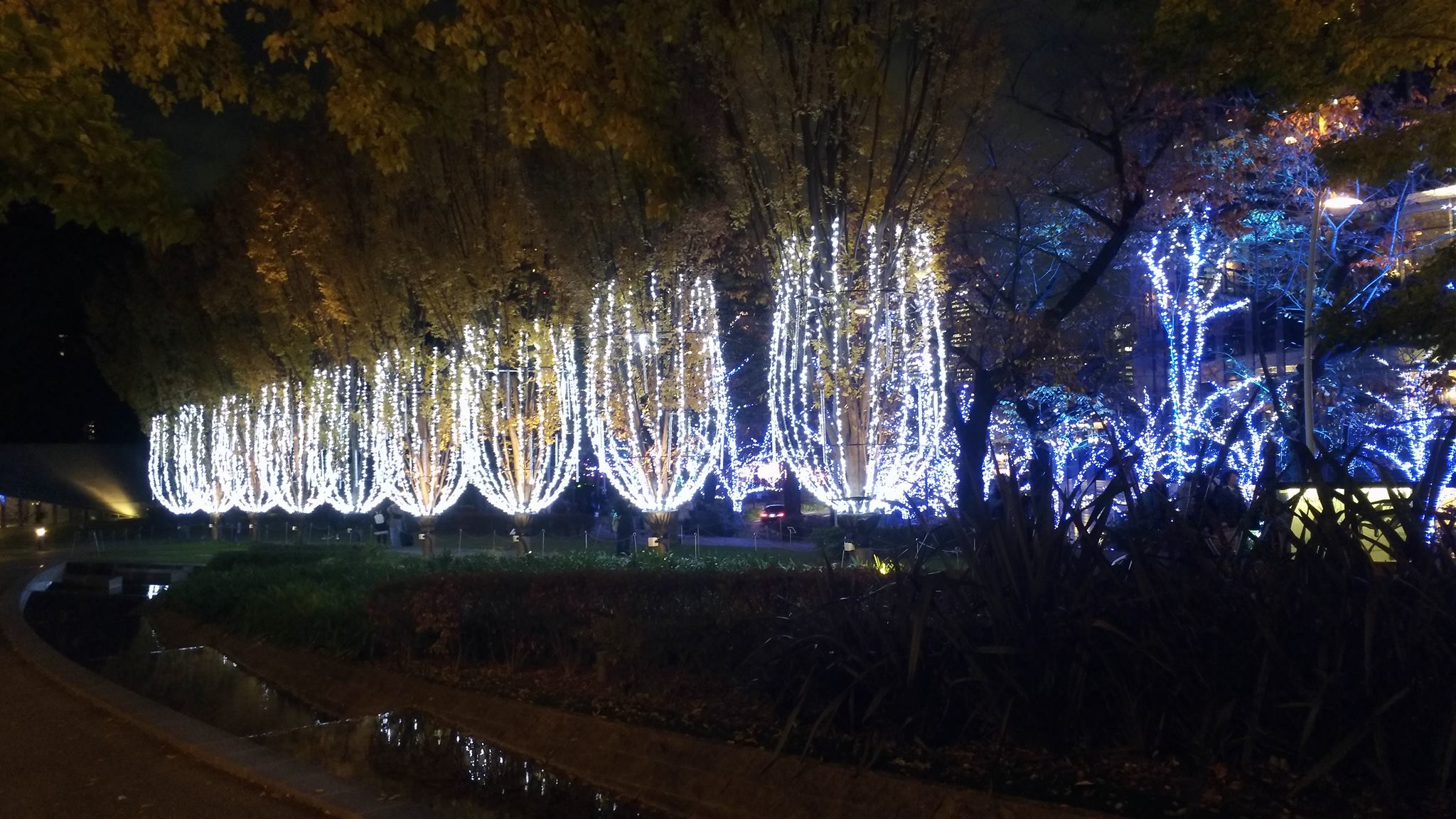 東京ミッドタウン　イルミネーション 